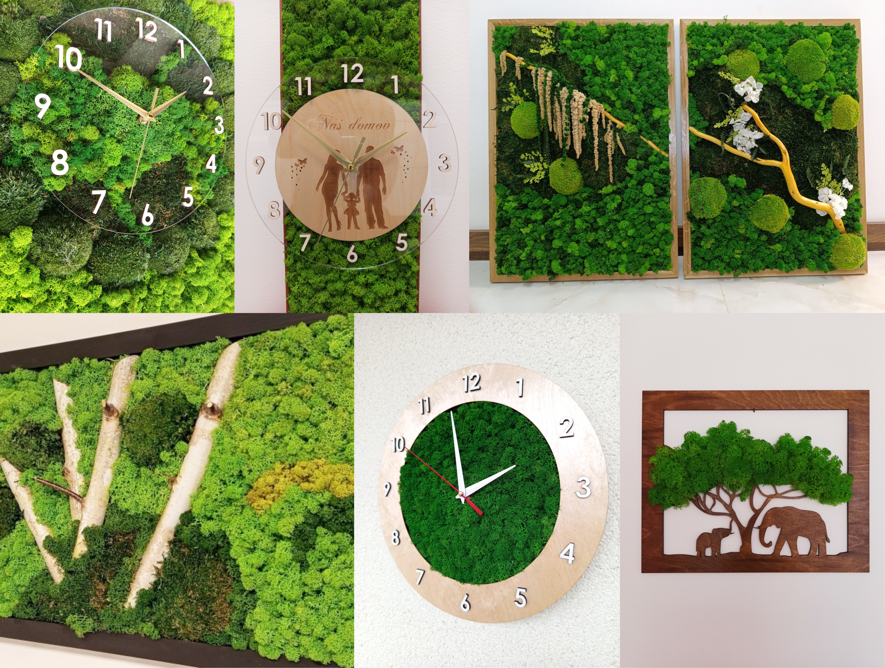 Mechové hodiny, mechové obrazy